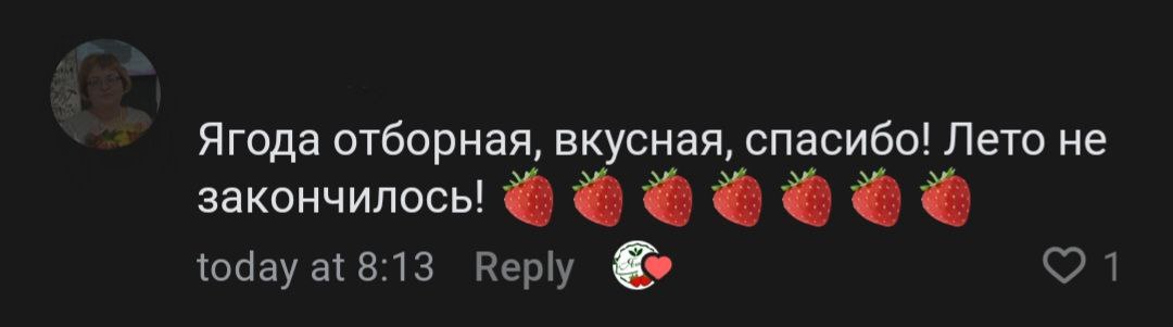Отзыв 1