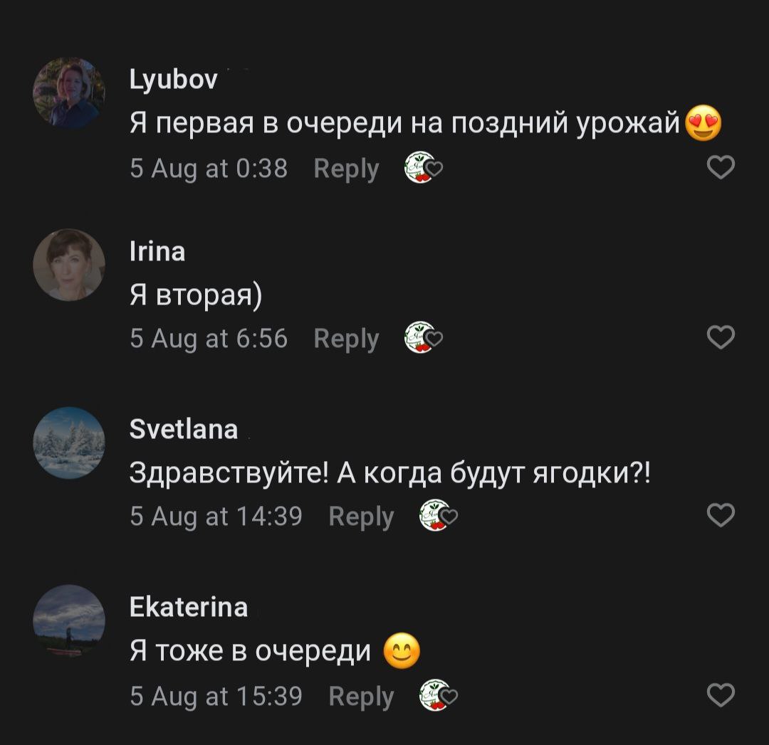 Отзыв 2